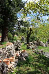 Appartements et chambres d’hôtes d’exception au coeur du parc national des Cèvennes, à Aumessas
